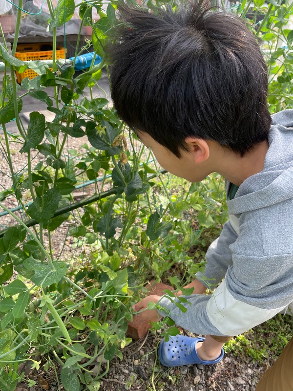 2023-05-04_07-39-31_492 (1).jpg