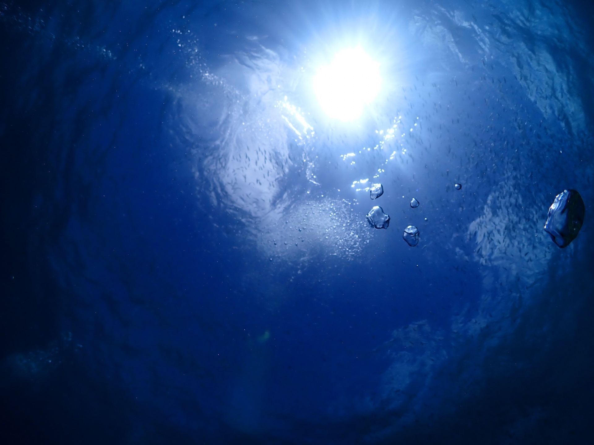 22303511_m.jpg