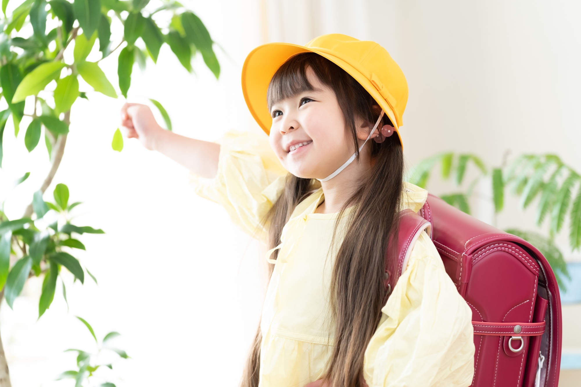 pixta_73537346_M.jpg