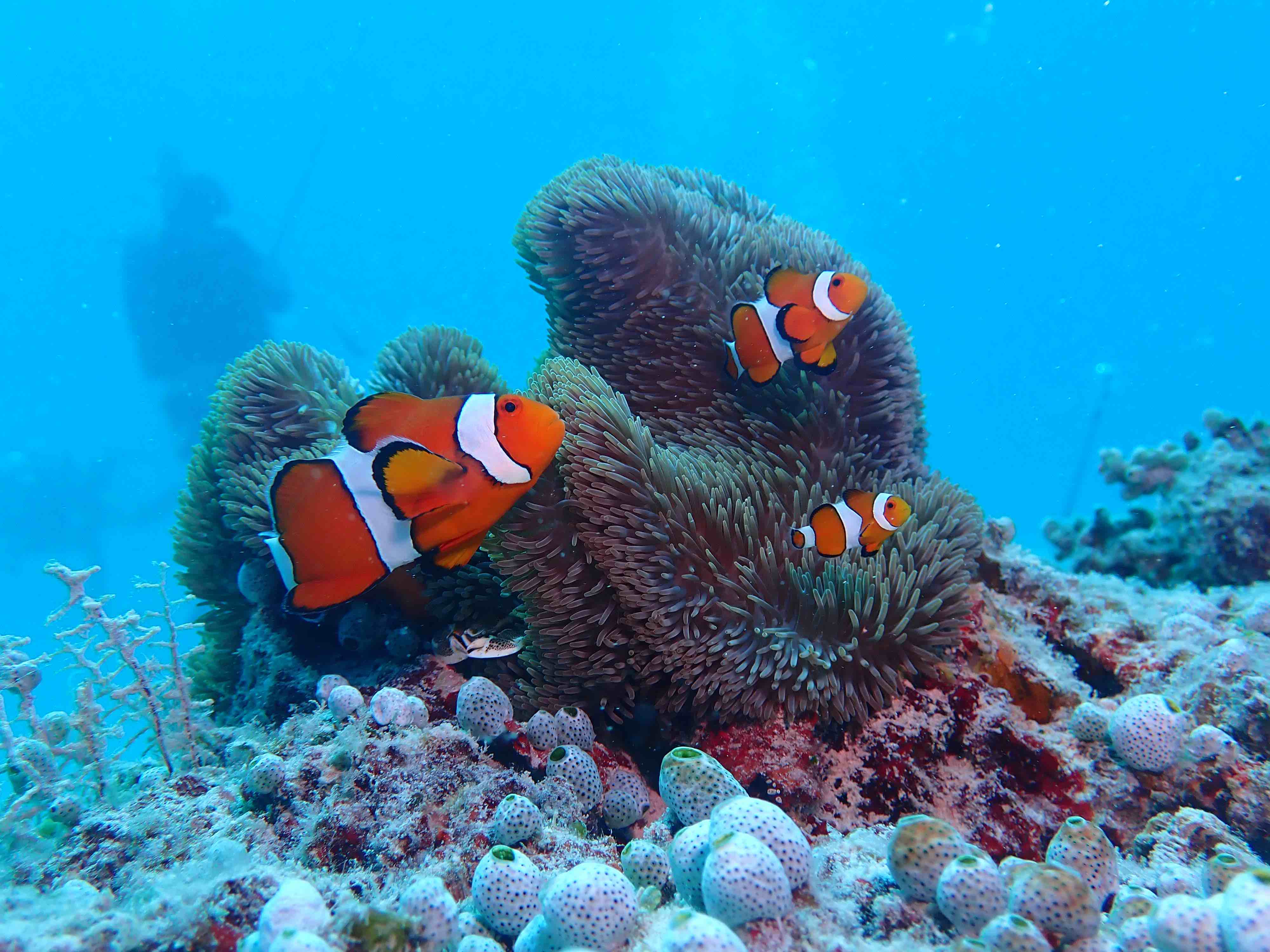 P9240142.JPG