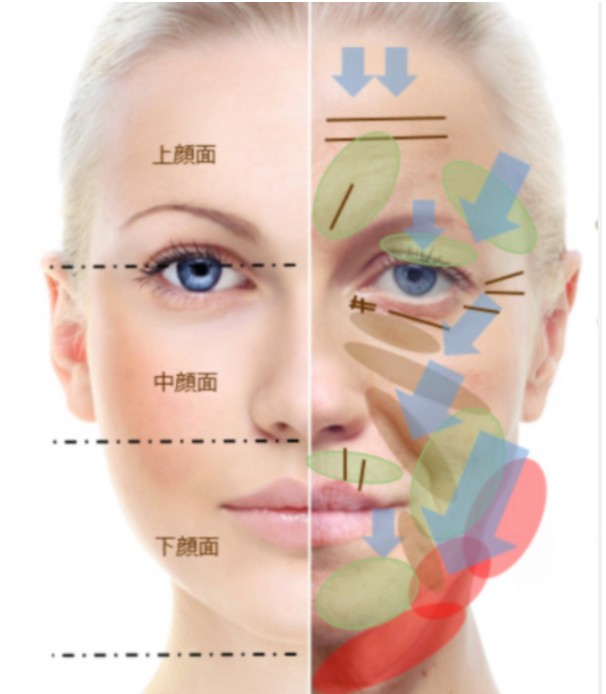 スクリーンショット 2022-01-19 8.48.13.png