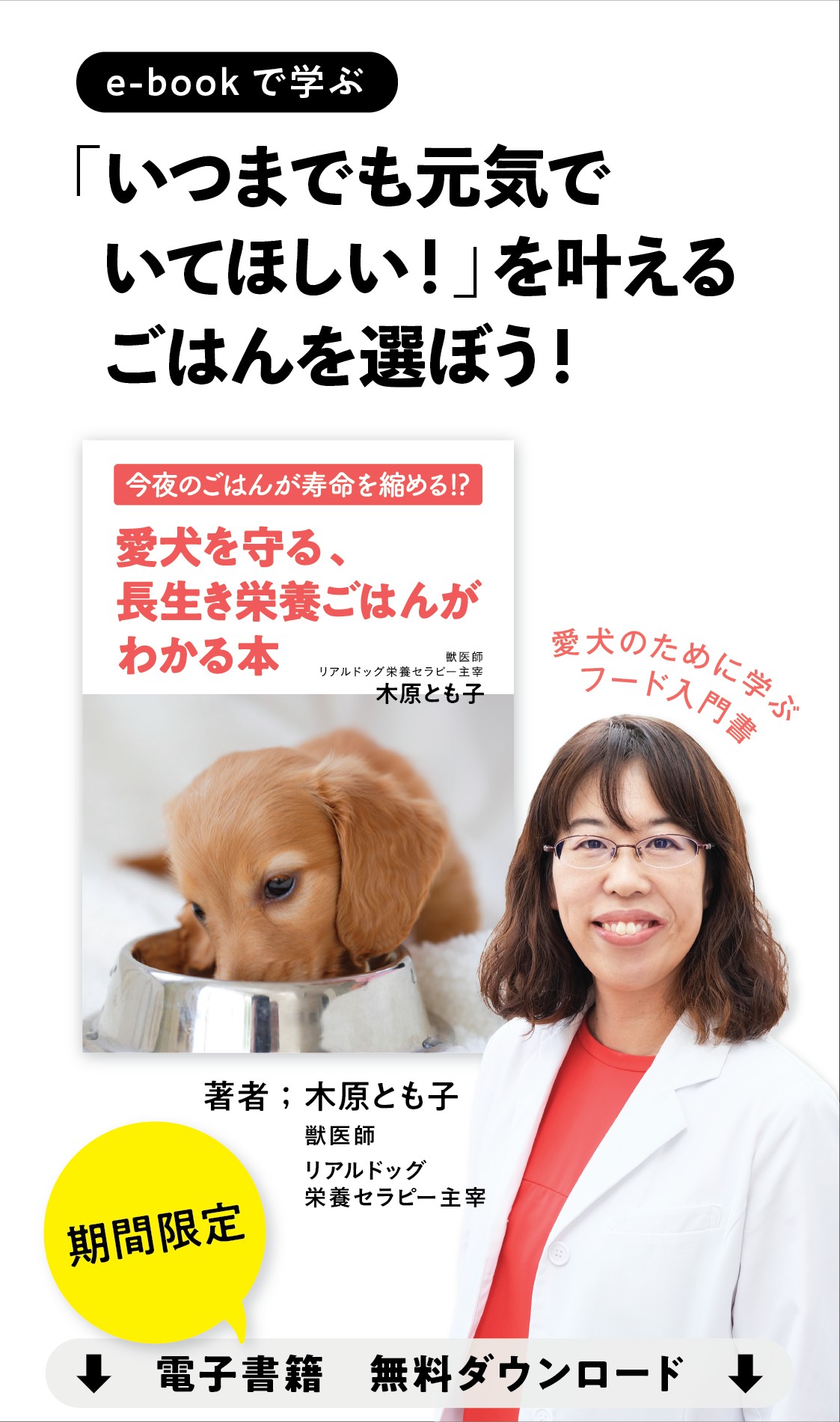 0929sassi_1122x1900.png