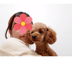 名称未設定のデザイン (8).png
