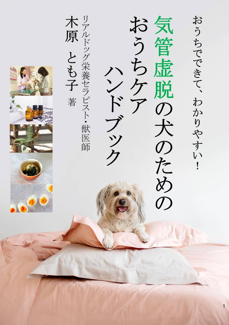 【小冊子】気管虚脱の犬のためのおうちケアハンドブック.jpg
