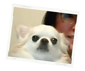 名称未設定のデザインのコピー (4).png
