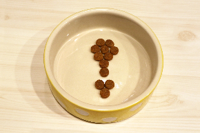 1409677_m.jpg