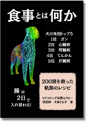 名称未設定のデザイン (43).png