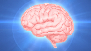 4827155_s.jpg