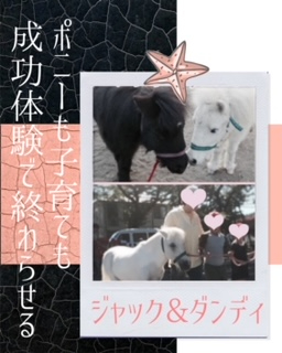 馬.JPG