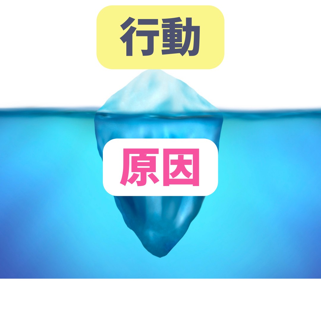 行動 原因.png