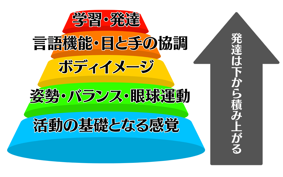 活動の基礎となる感覚 (1).png