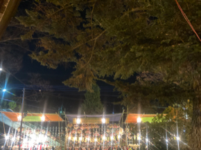IMG_8200.jpeg