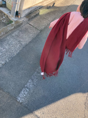 IMG_9217.jpeg