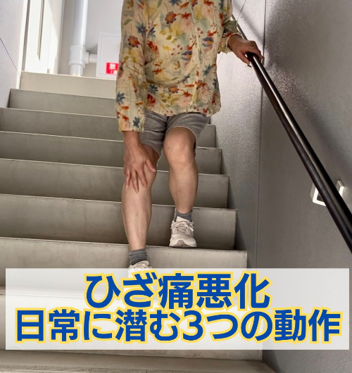 インスタサムネ.jpeg