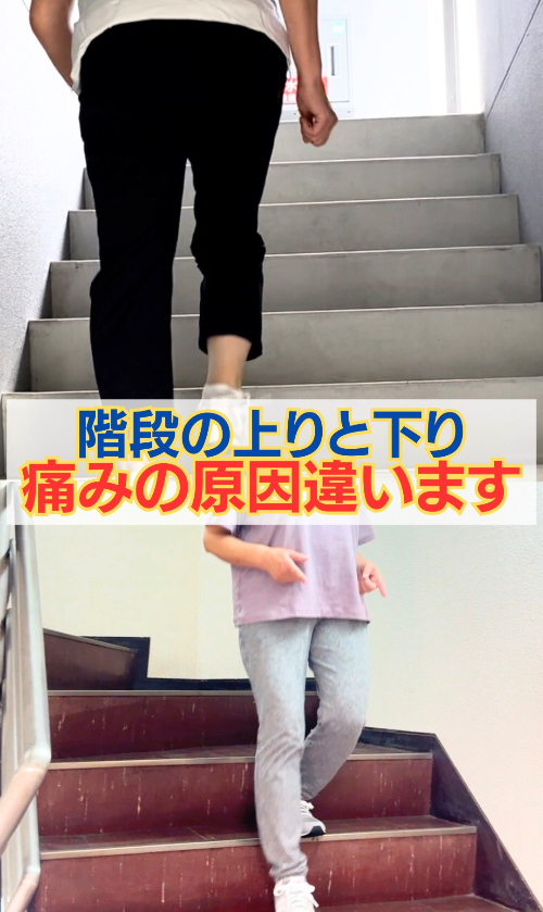 インスタサムネ.png.jpeg