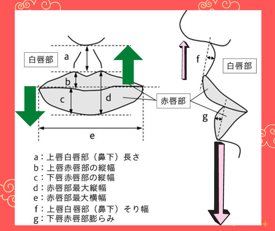 名称未設定のデザイン (23).png