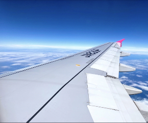 22508792_s.jpg