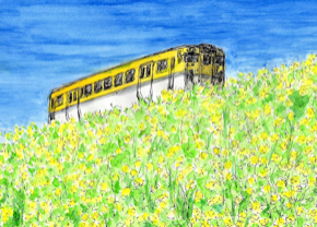 22518983.jpg