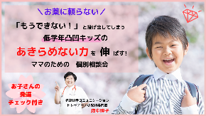 個別相談.png