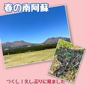 image0 (1).jpeg