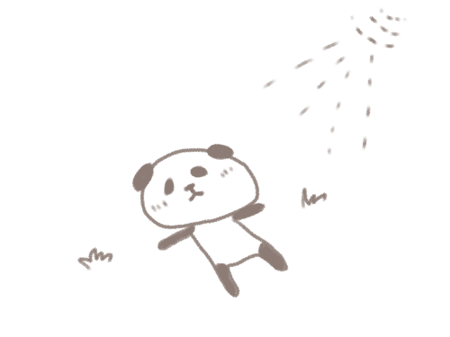 23287981.png