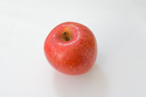 23125541_s.jpg