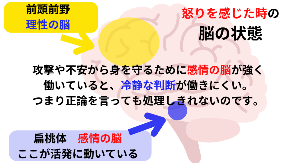 怒りを感じた時の 脳の状態.png