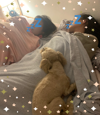 スクリーンショット 2023-07-29 11.30.16.png