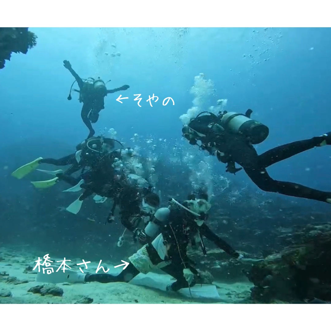 橋本さん→.png
