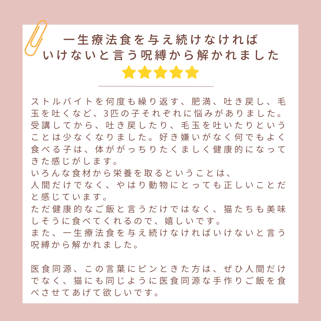 13.png