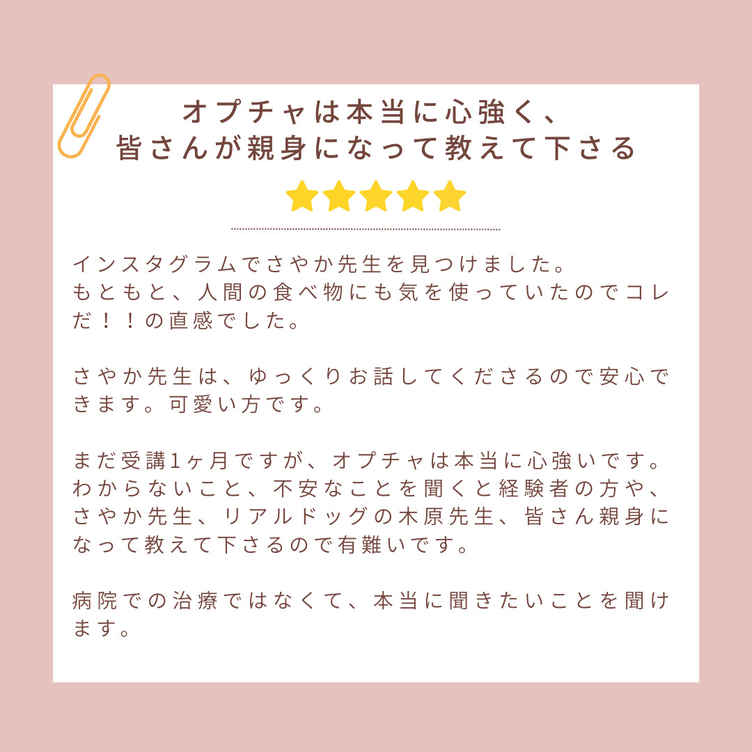 14.png