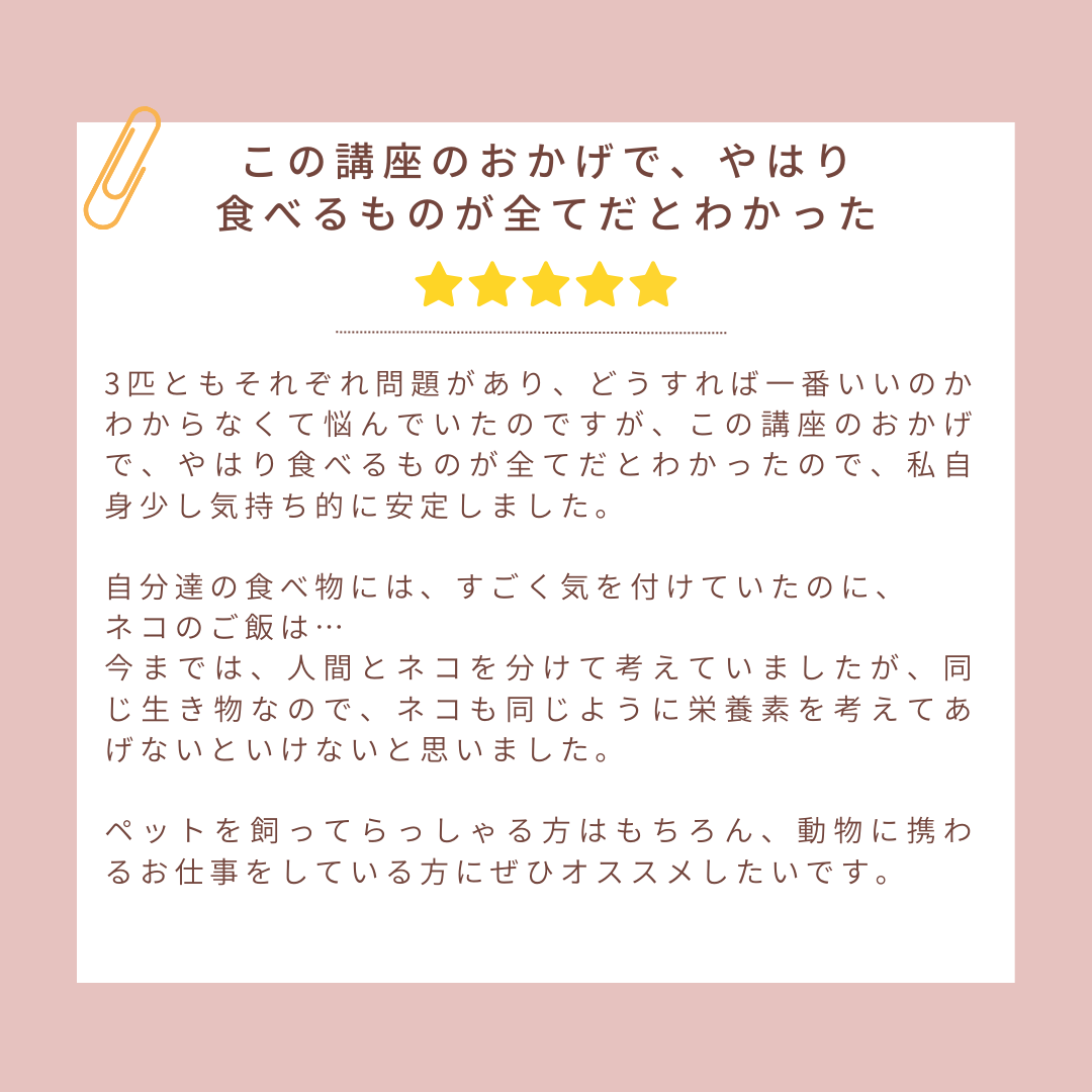 17.png