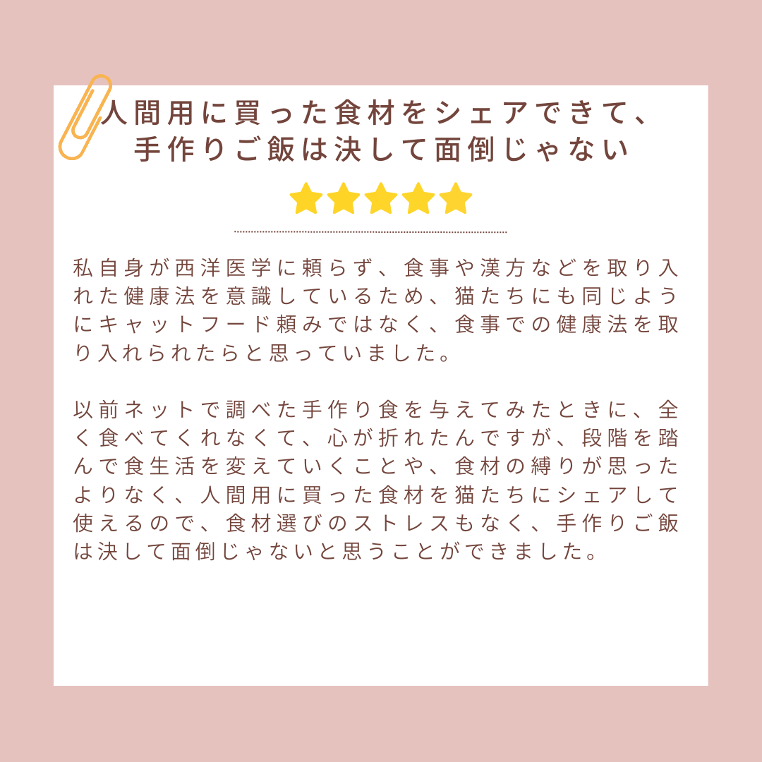 19.png