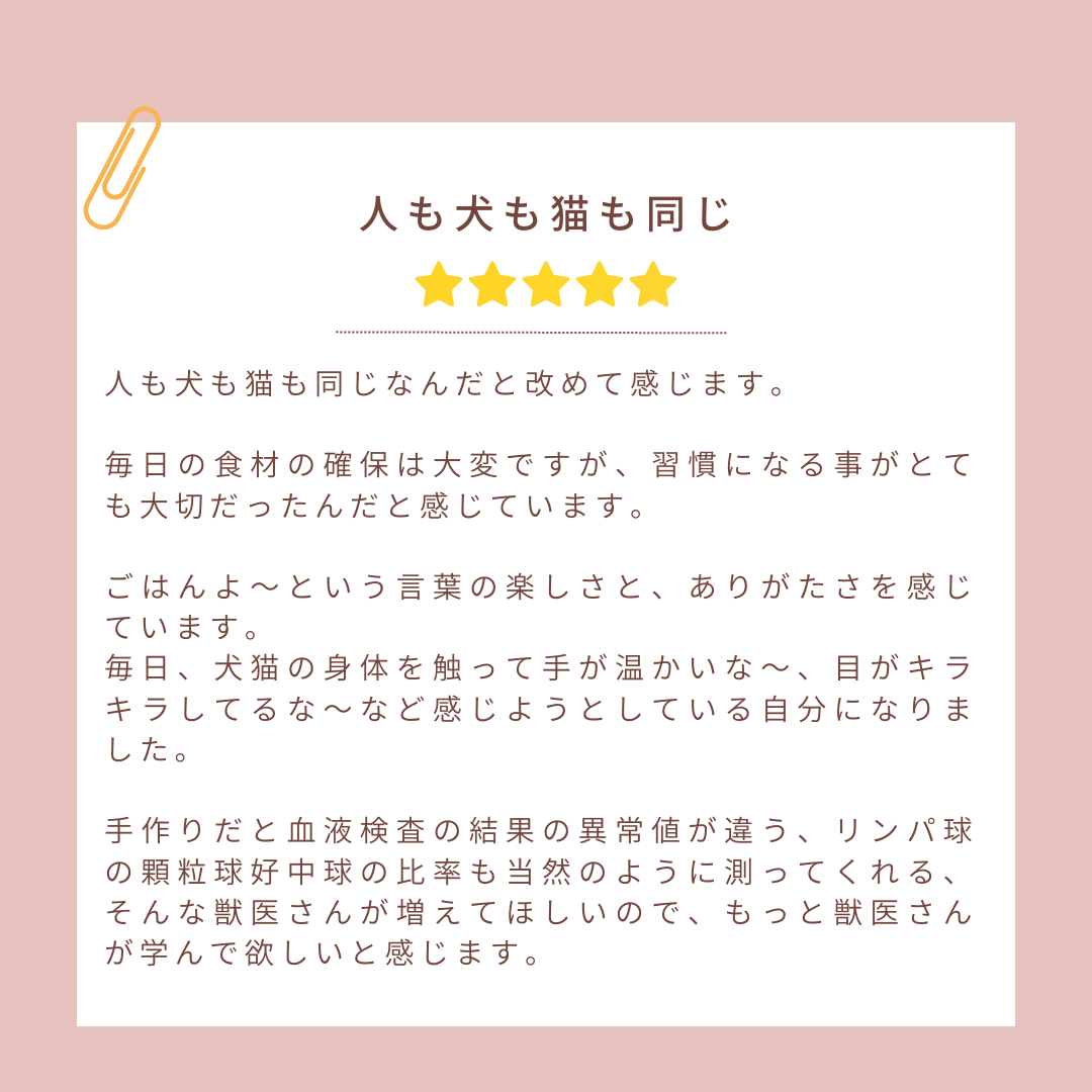 21.png