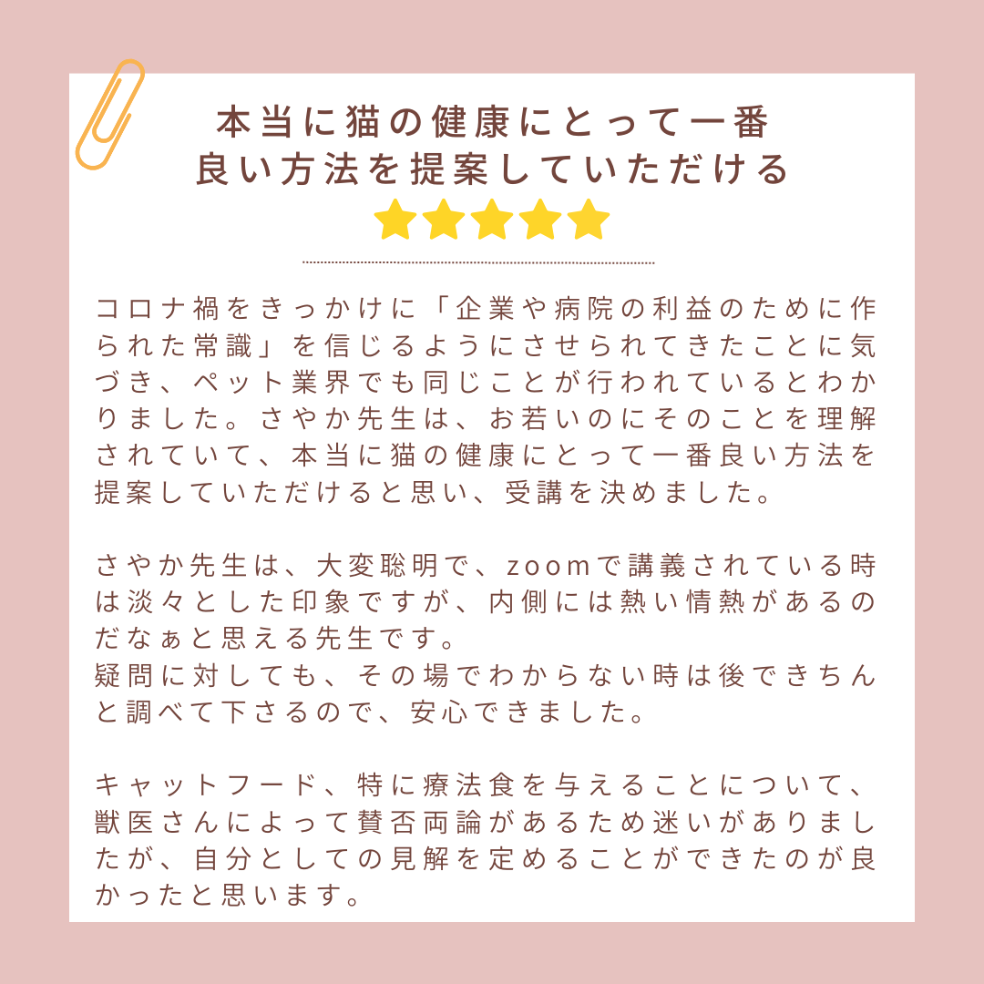26.png