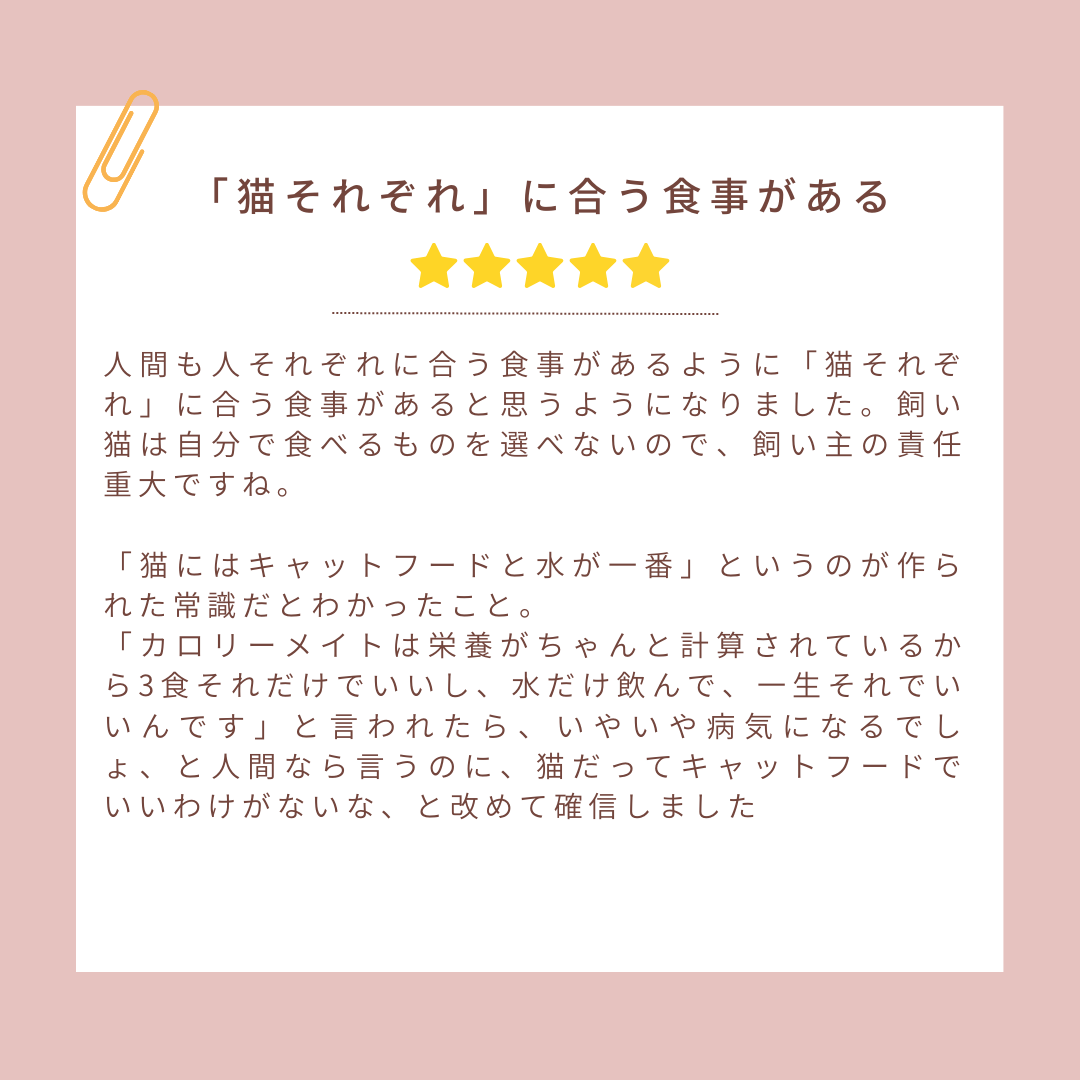 28.png