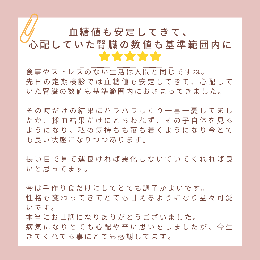 41.png
