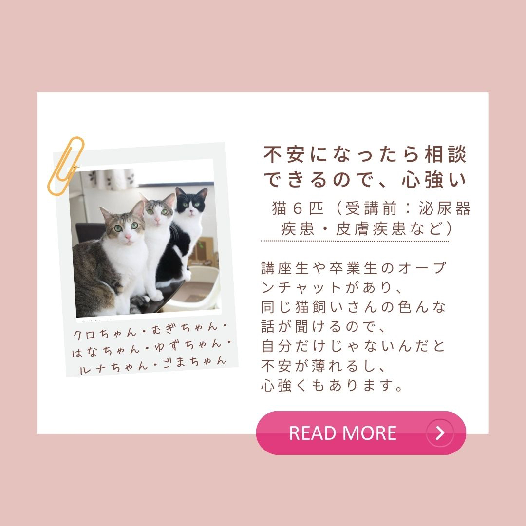 ピンク　白　茶色　Instagramストーリー (1080 x 1080 px).jpg