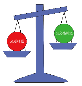 24548003.jpg