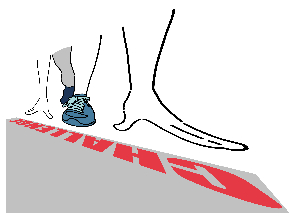 22115944.jpg
