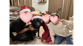 名称未設定のデザイン - 1.PNG
